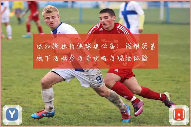 达拉斯独行侠球迷必备:诺维茨基线下活动参与全攻略与现场体验